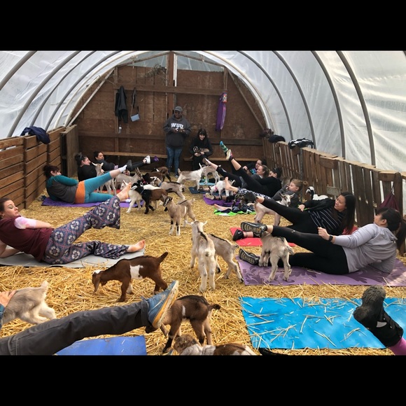 Meet your Posher, Jayne - Picture 4 of 8